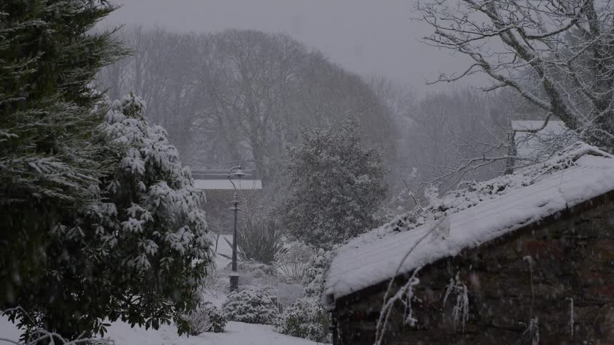Snow is falling on houses and trees in a neighborhood