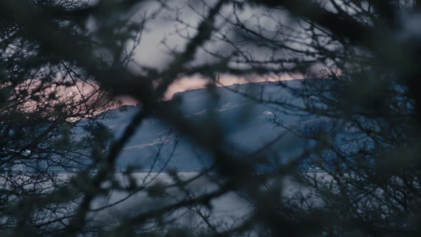 A view of a landscape through a tree