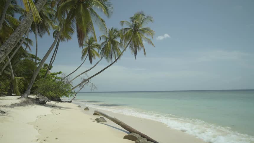 Waves roll onto a tropical shore