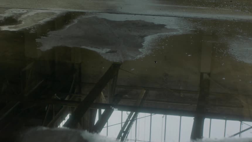 The water is reflecting the ceiling