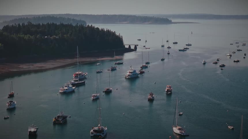 Boats anchored in a bay near a forested peninsula