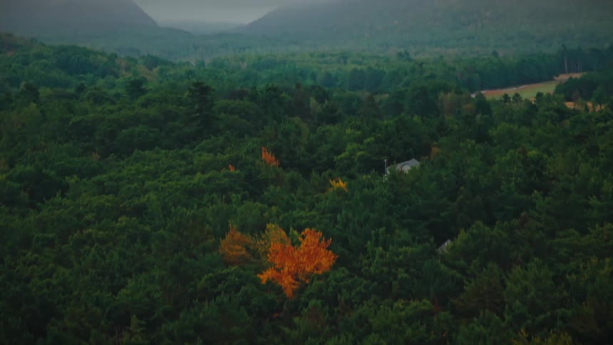 Aerial view of a house in the woods of a forested mountain valley under a cloudy sky