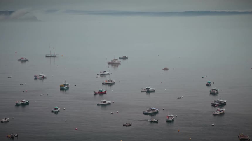 Anchored boats scattered across calm sea with fog in the background