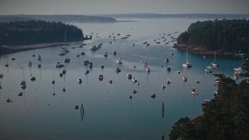 Many sailboats are anchored in a harbor