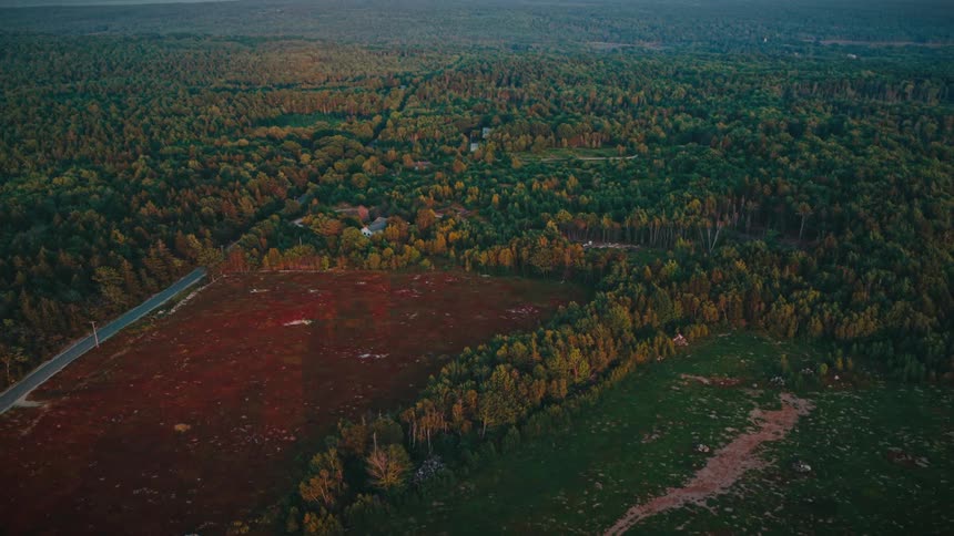 A highway running through a vast countryside of green vegetation and forest in fall at midday