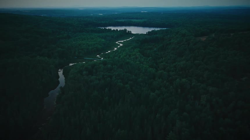 The river runs through the large green forest
