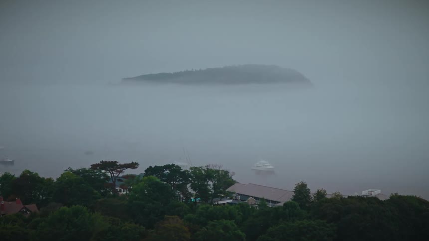 Houses on a forested mountain overlooking the coast with boats sailing on the water in the fog