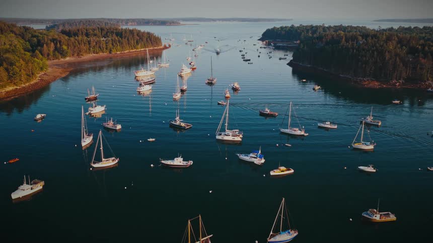 A high angle view shows many sailboats and motorboats anchored in a large blue bay surrounded by dense green forest under a clear sky during a bright morning
