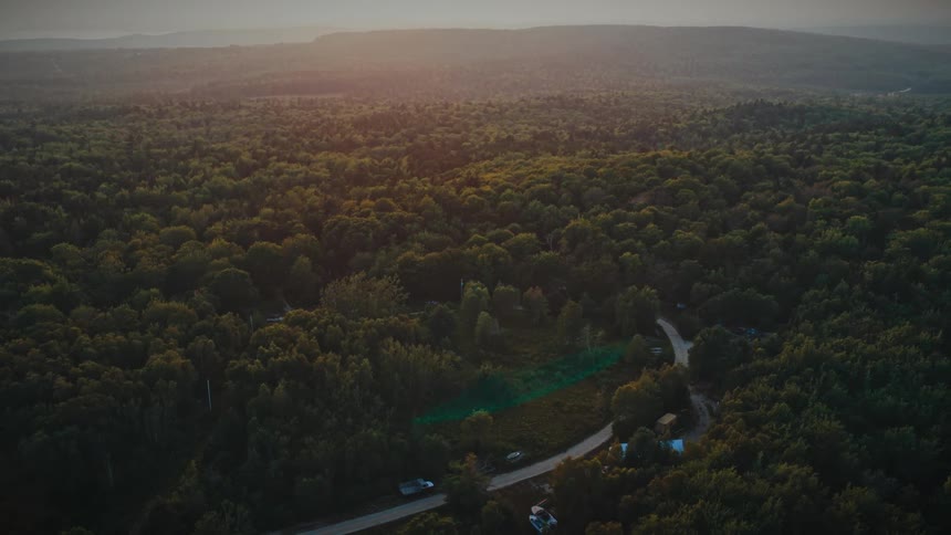 A vast expanse of dense green forest under the warm light of a setting sun