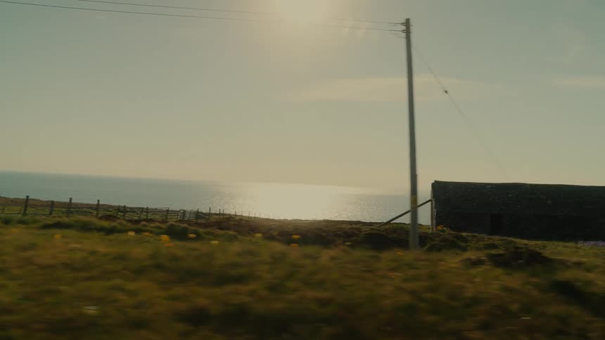 The green farm is on the shore