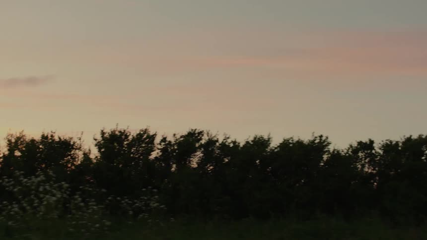 Trees and woodland silhouette under a cloudy sky
