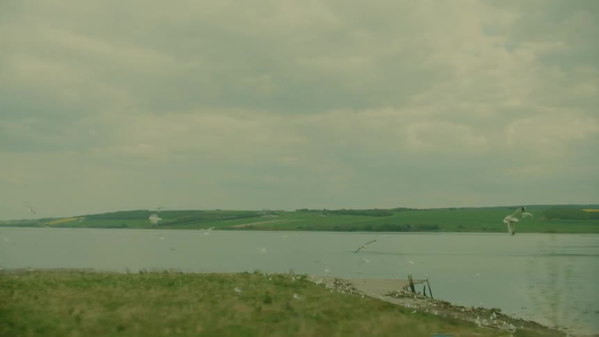 A bird flies away from a river beach