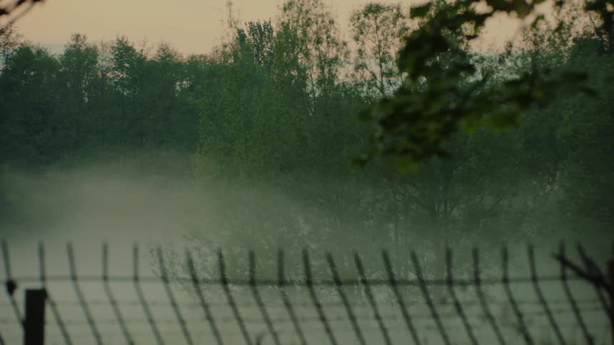 Thick white mist drifts slowly across a wooded meadow behind a blurred wire fence at daybreak