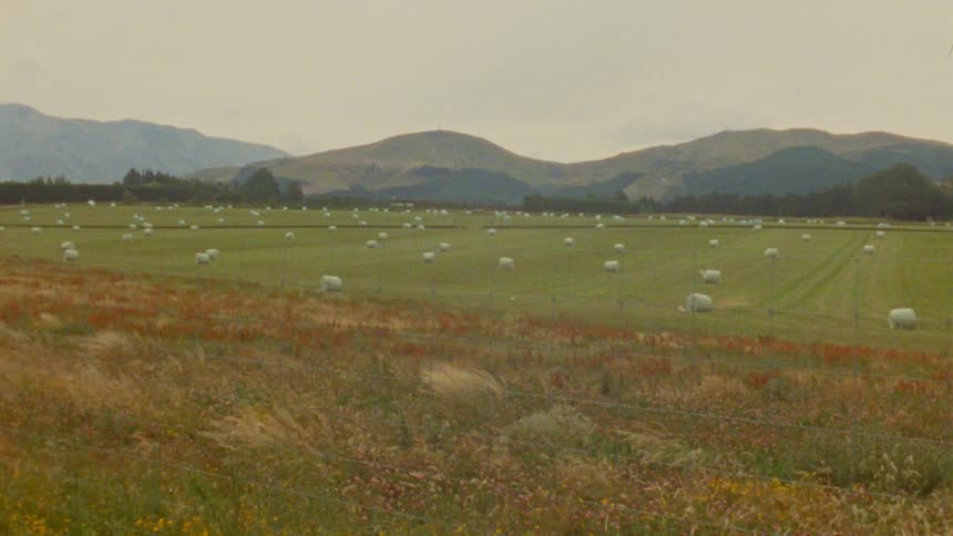 Many white round hay bales sit in a large green field before rolling hills under a hazy sky during the day