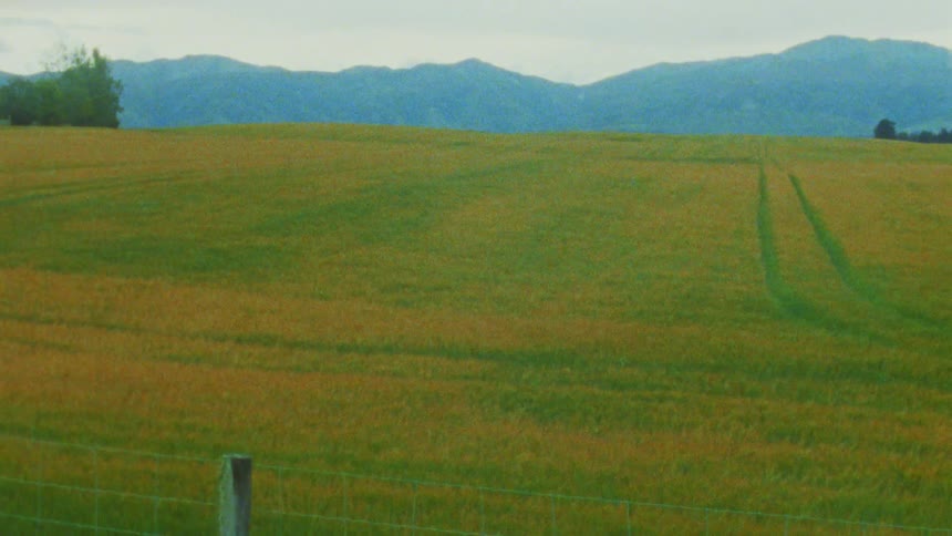 Field on a farm next to a fence with mountains on the background outdoors during day time