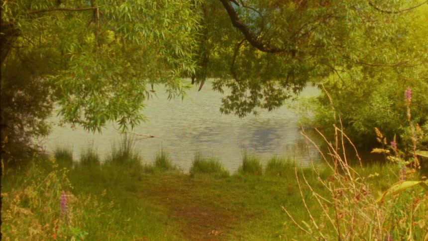 Golden sunlight filters through lush green willow branches onto a tranquil lake illuminating the ripples on the waters surface and the vibrant meadow along the shore in a warm nostalgic summer glow