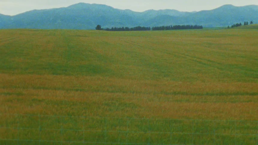 A plain grassland field in the countryside with a mountain range in the background at midday