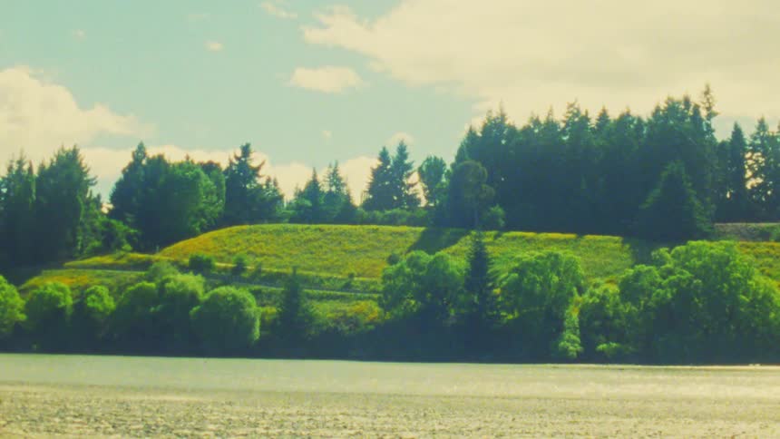 A view of a calm river in the foreground with a green grassy hill and a dense forest of evergreen trees under a bright sky with soft clouds