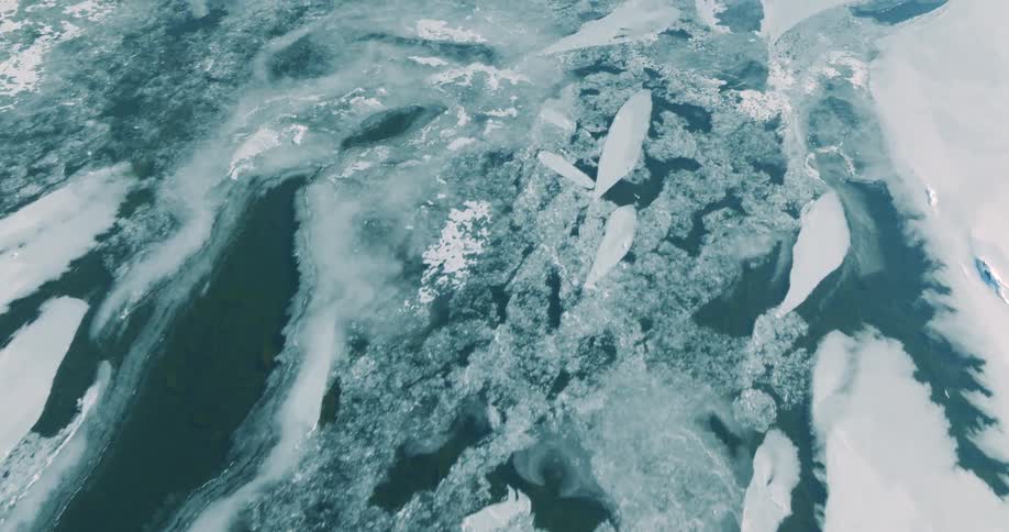 Ice floes drift in partially frozen water seen from above