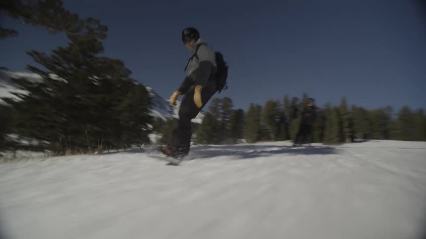 Two individuals snowboarding down snowy slope surrounded by pine trees under blue sky