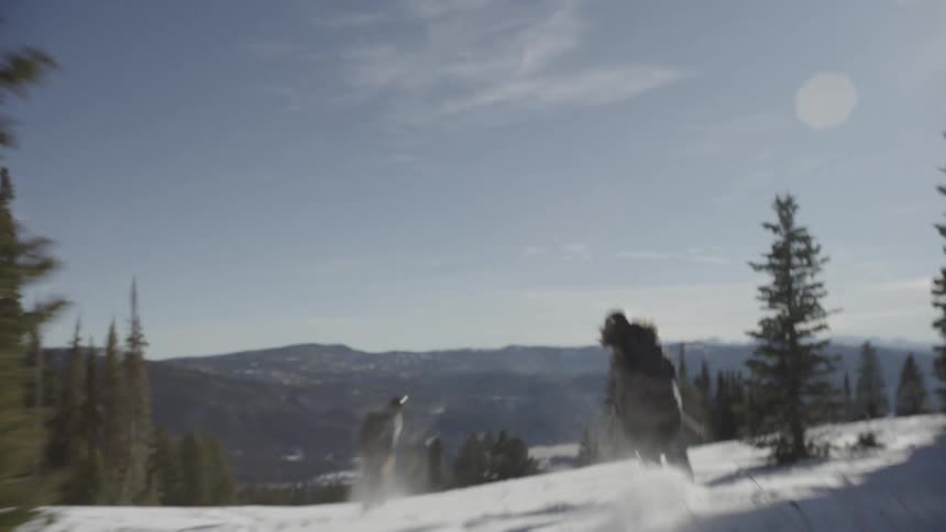 Two people skiing down a mountain