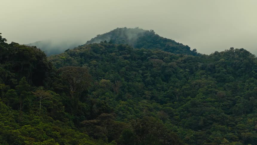 Fog hangs low over a forested mountain under a cloudy sky