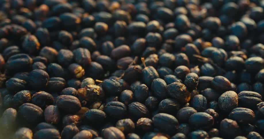 Dark beans piled under warm lighting
