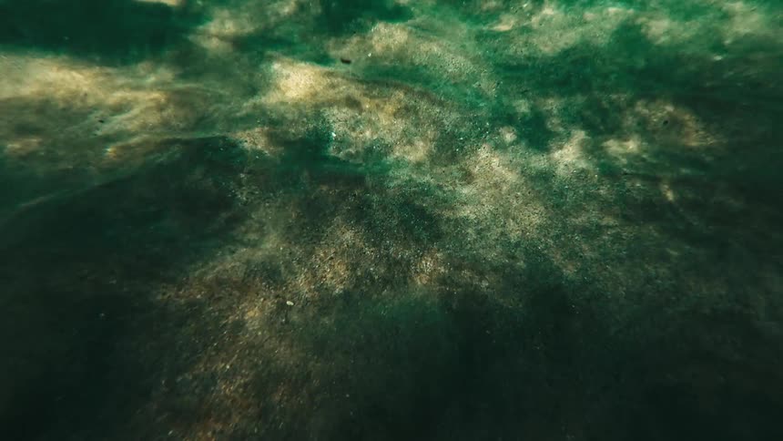 Underwater with the ocean floor in view as debris shifts with the rippling water at midday