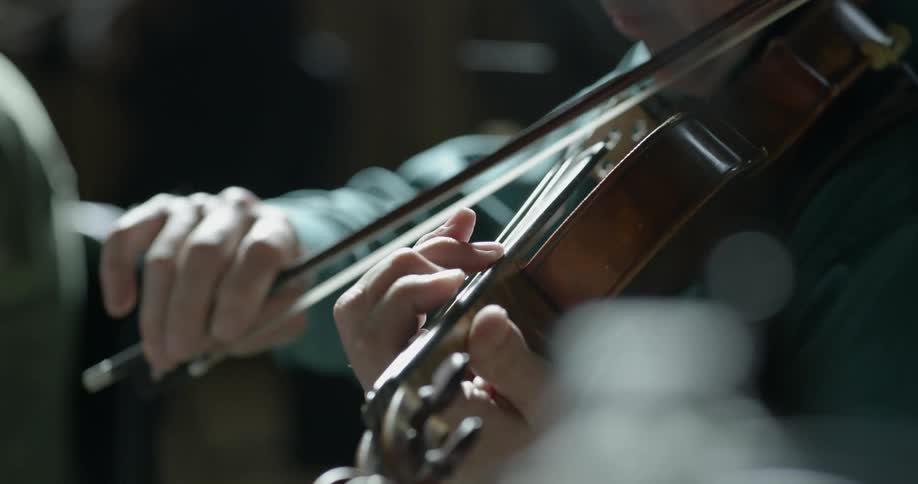 A violinist performs