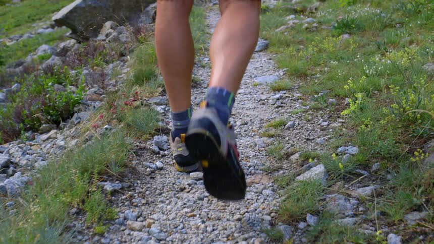 Person walks on a stony path in nature