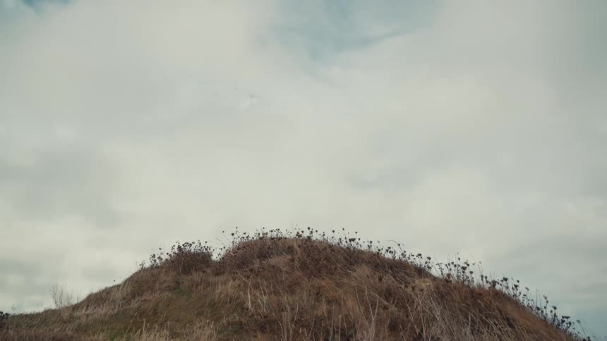 A bird flies across a cloudy overcast sky above a grassy hillthe hill is covered in dry brown vegetation and small dark seed heads against the muted background