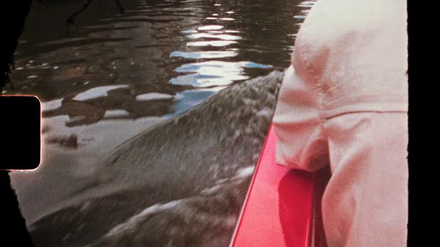 Person sitting in a red kayak while paddling over reflective water
