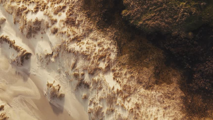 A large expanse of empty land in the wilderness covered entirely in sand