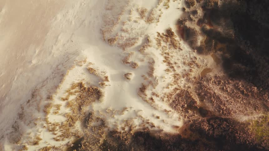 A large expanse of empty land in the wilderness covered entirely in sand