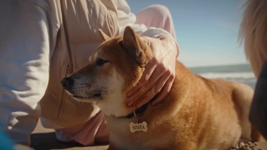 People sitting on the beach as a woman pets their dog