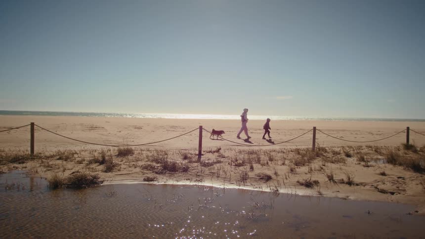 A person walks along a sunny beach with a small child and a dog the ocean sparkling in the background under a clear blue sky