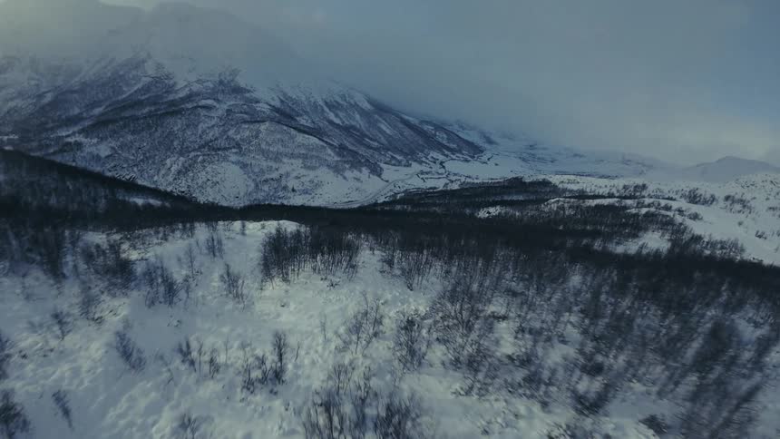 An aerial view shows snow covering a vast mountain range where sparse trees grow on steep slopes under a thick layer of grey clouds