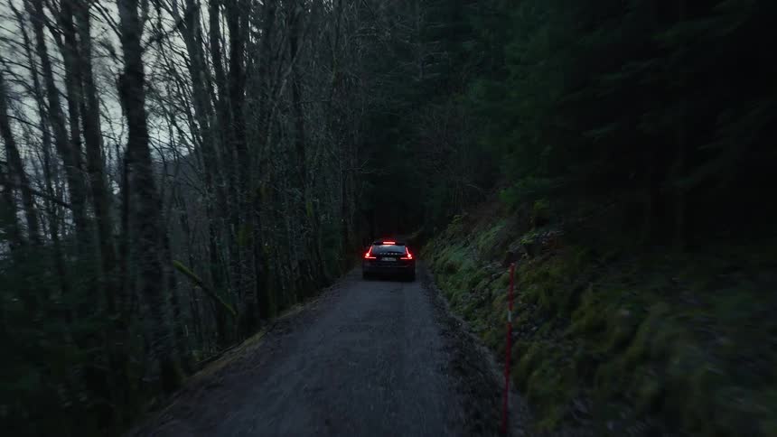 A view of cars driving in a forest