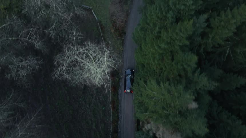 Black car drives along narrow road between bare trees and green pines seen from above