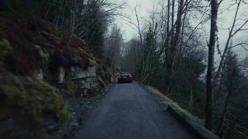 Car drives along narrow winding road in shadowy forest
