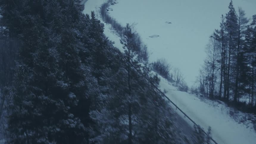 Snow covered forested mountain overlooking a car traveling on the road