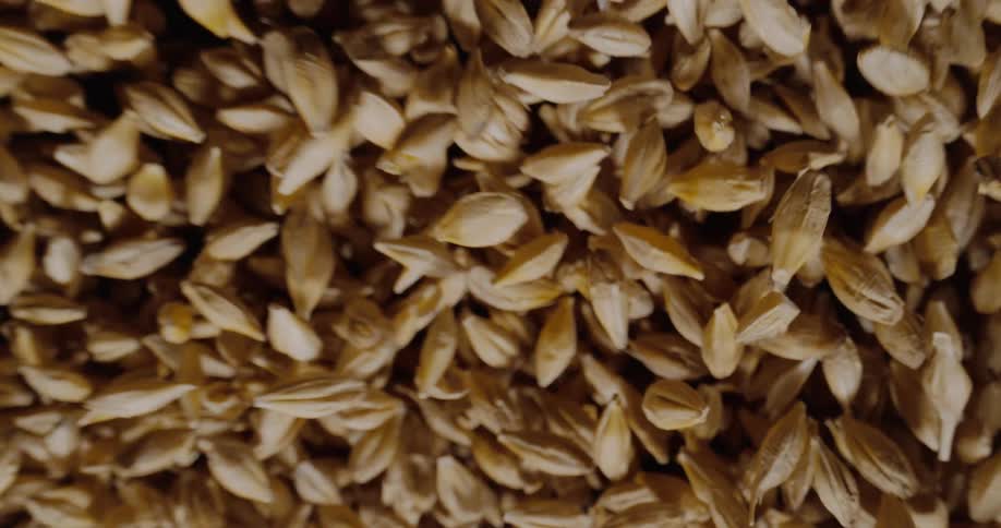 Lightcolored grains move in closeup over a dark background