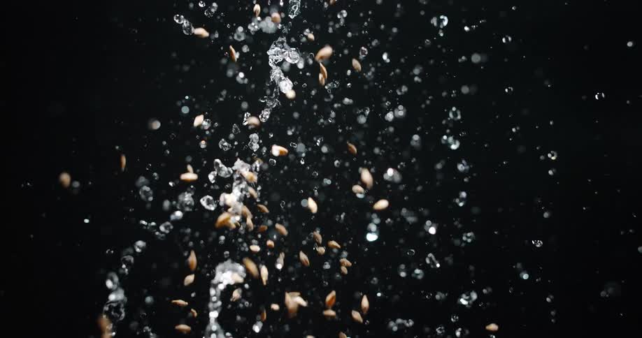 Grains fall into water with splashes and bubbles against a dark background