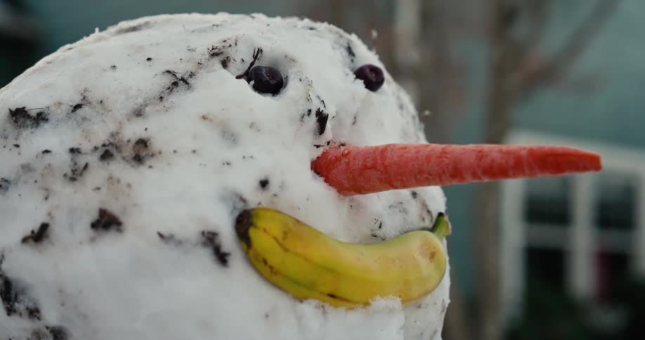 A close view of a snowman head features a long carrot for a nose and a yellow banana for a smile with dark berries for eyes during a cold winter day