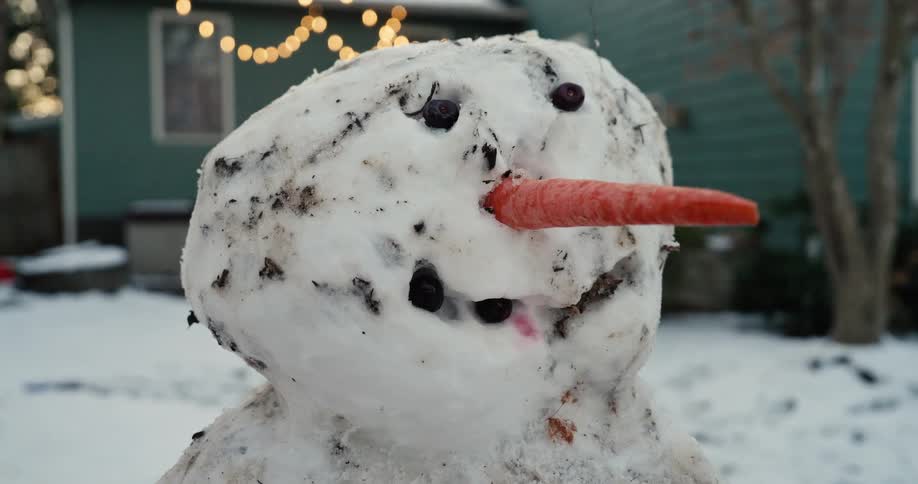 A close view of a lumpy snowman head features a long carrot for a nose and dark berries for eyes with a house and string lights blurred in the background on a snowy winter day