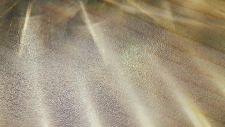 An extreme close view shows golden light reflecting and refracting through a glass material to create abstract glowing patterns and shimmering particles against a dark background