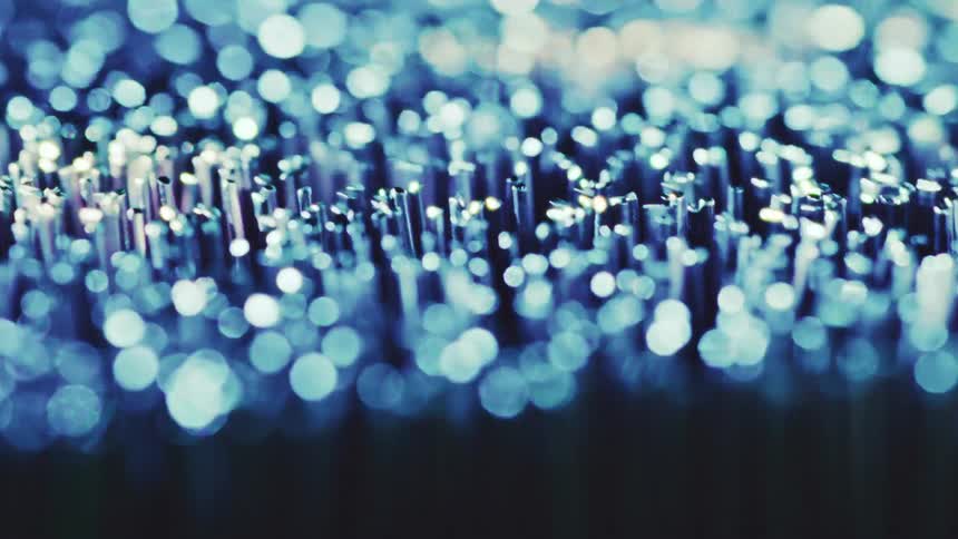 Shaking mass of bristles is colored blue or purple