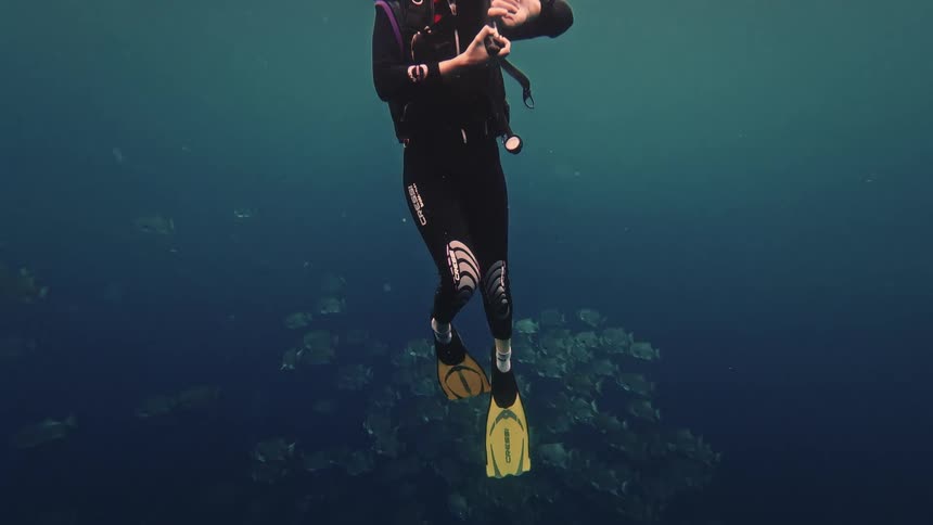 A scuba diver wearing a black suit and yellow fins swims through deep blue water while checking a gauge on their wrist as a large school of fish passes below
