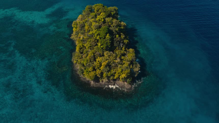 Islet covered by dense vegetation surrounded by the ocean outdoors during day time