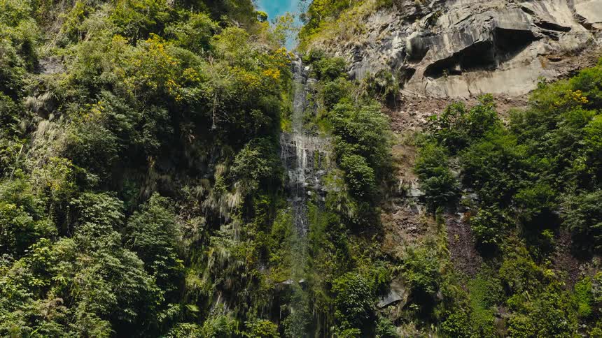 A thin waterfall cascades down a steep rocky cliffside heavily blanketed in vibrant green moss and tropical foliage the camera slowly tilts upward revealing the crest of the falls against a bright blue sky framed by dense treetops